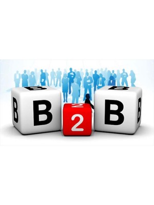 b2b مارکتینگ